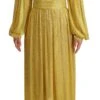Dolce & Gabbana Yellow Crystal Mesh Pleated Maxi Women's Dress 2 Dolce & Gabbana Yellow Crystal Mesh Pleated Maxi Women's Dress -Lux Lair Store 1536410