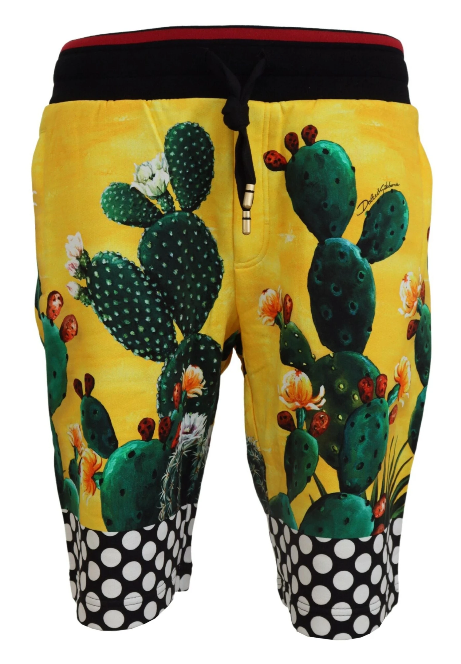 Dolce & Gabbana Multicolor Cactus Print Cotton Sweat Men's Shorts 3 Dolce & Gabbana Multicolor Cactus Print Cotton Sweat Men's Shorts