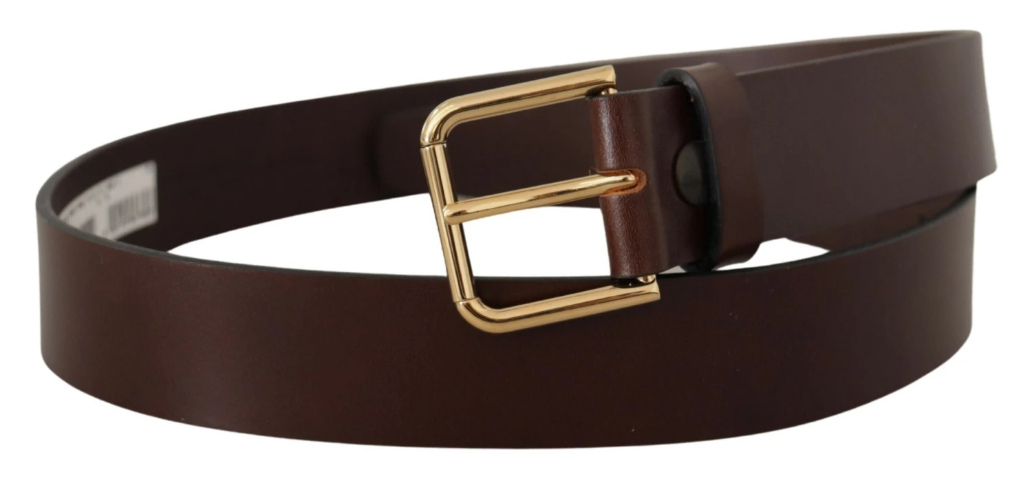 Dolce & Gabbana Brown Plain Calf Leather Gold Tone Buckle Men's Belt 4 Dolce & Gabbana Brown Plain Calf Leather Gold Tone Buckle Men's Belt - Image 2