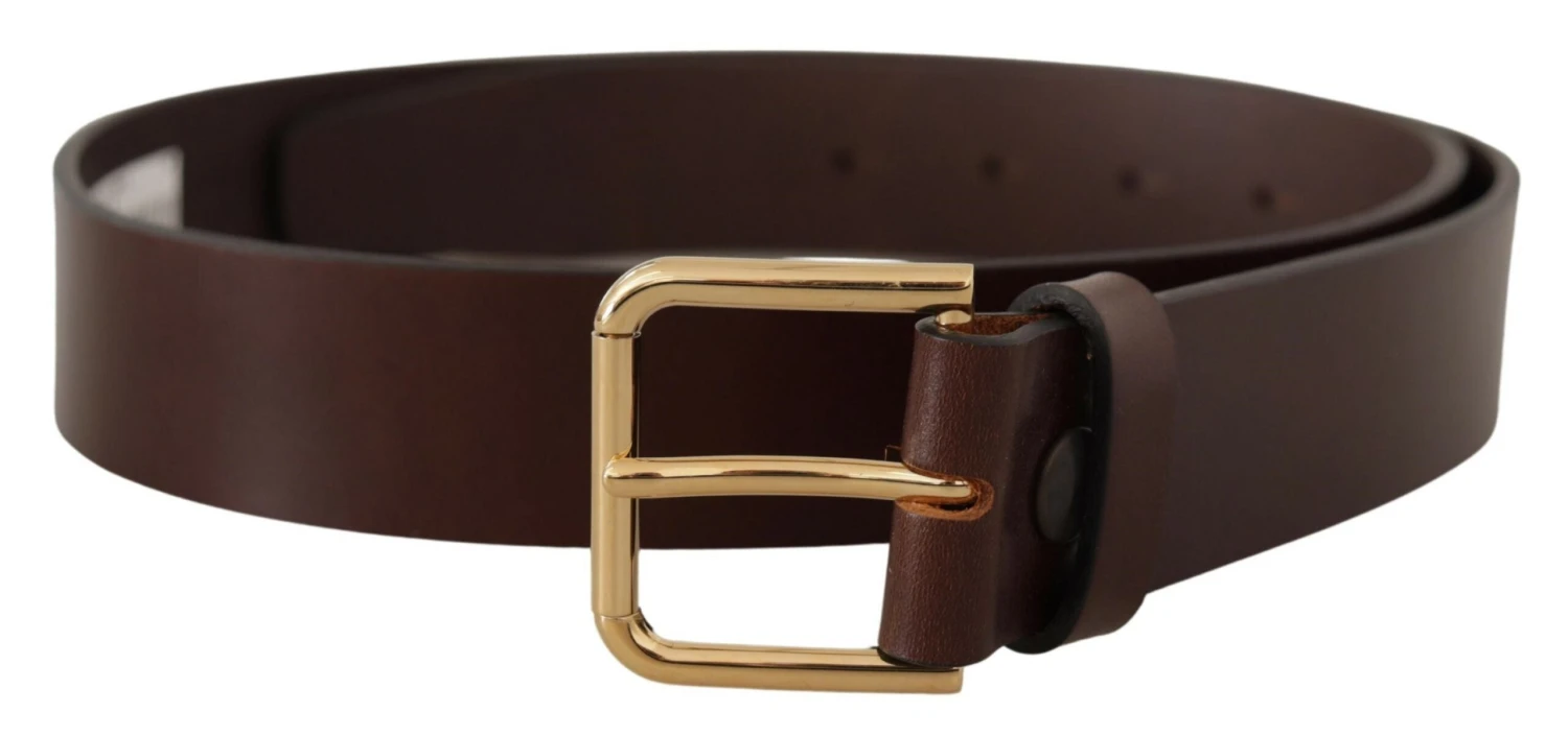 Dolce & Gabbana Brown Plain Calf Leather Gold Tone Buckle Men's Belt 3 Dolce & Gabbana Brown Plain Calf Leather Gold Tone Buckle Men's Belt