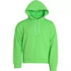 Dolce & Gabbana Green Logo Hooded Pullover Sweatshirt Men's Sweater (Pre-Owned) -Lux Lair Store 4635521