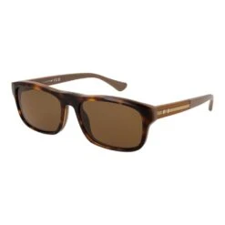 Web Brown Men Men's Sunglass